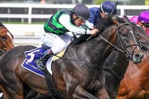 BIG SPRING AWARD AWAITS O'BRIEN COLT